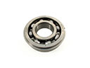 Ford Transfer Case Bearing